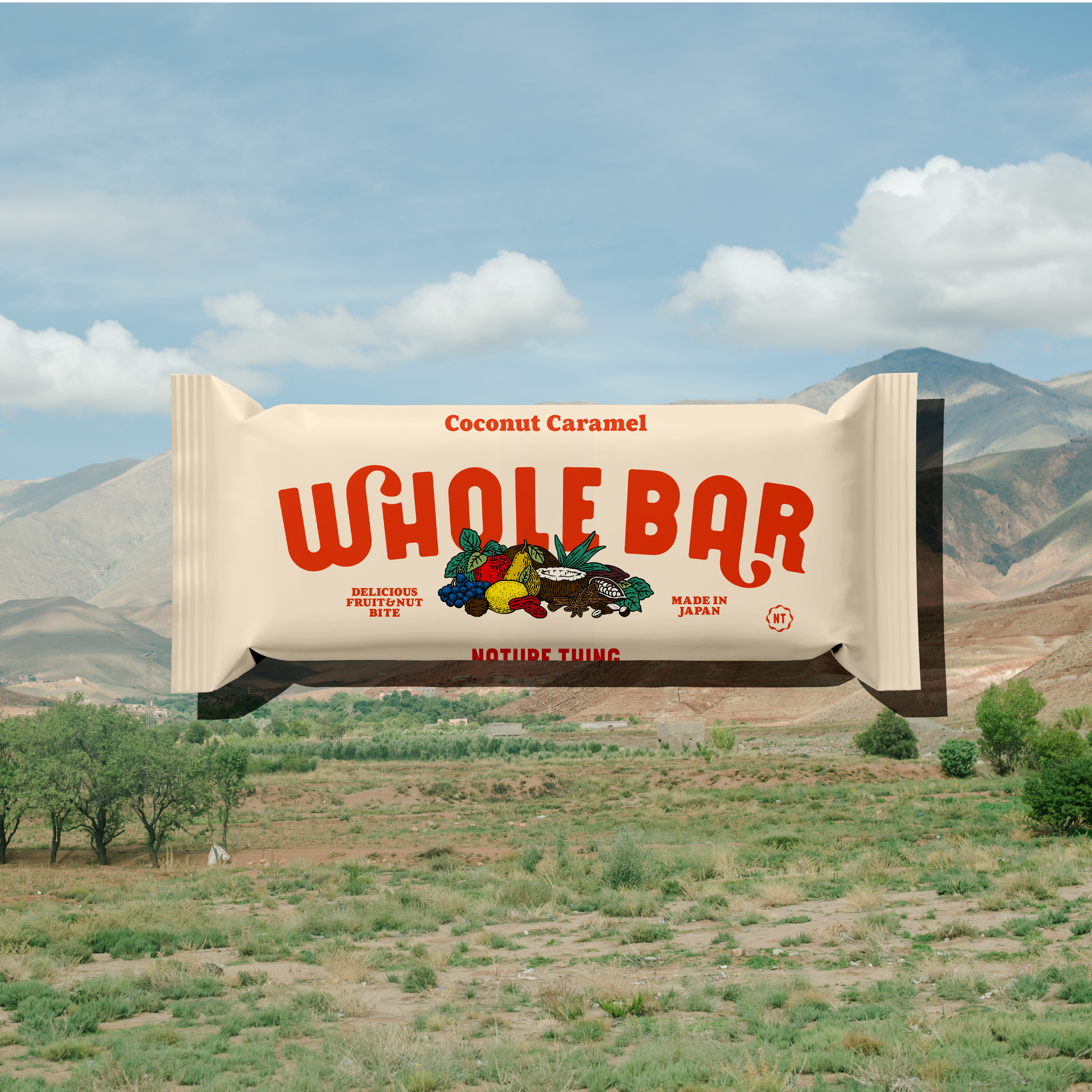 WHOLE BAR / ココナッツキャラメル 12個入BOX
