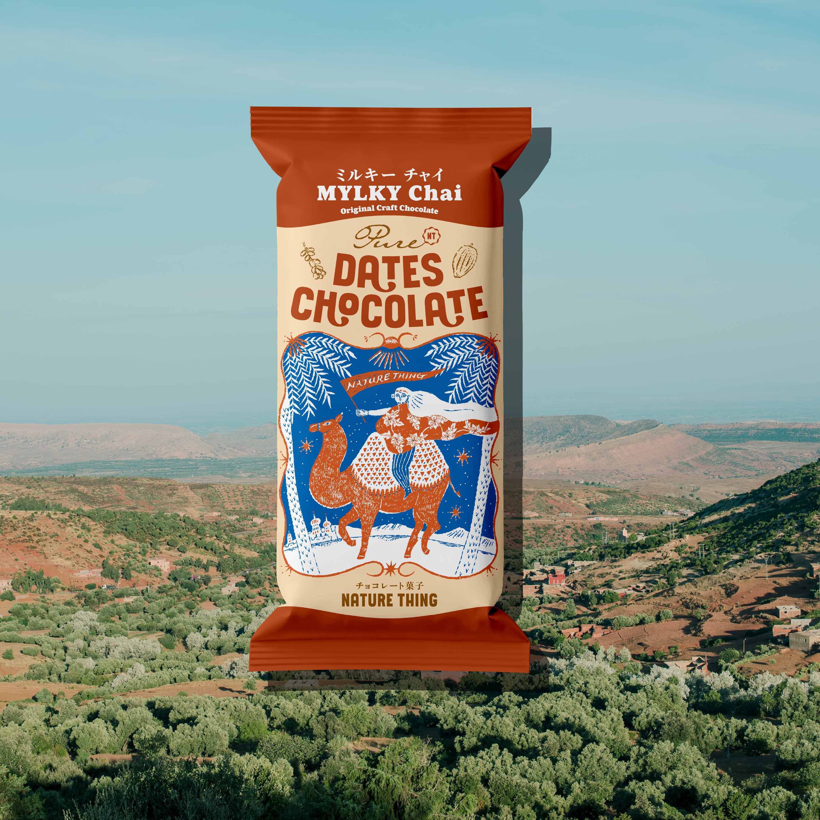 【お試し】Pure Dates Chocolate 4種類アソートセット